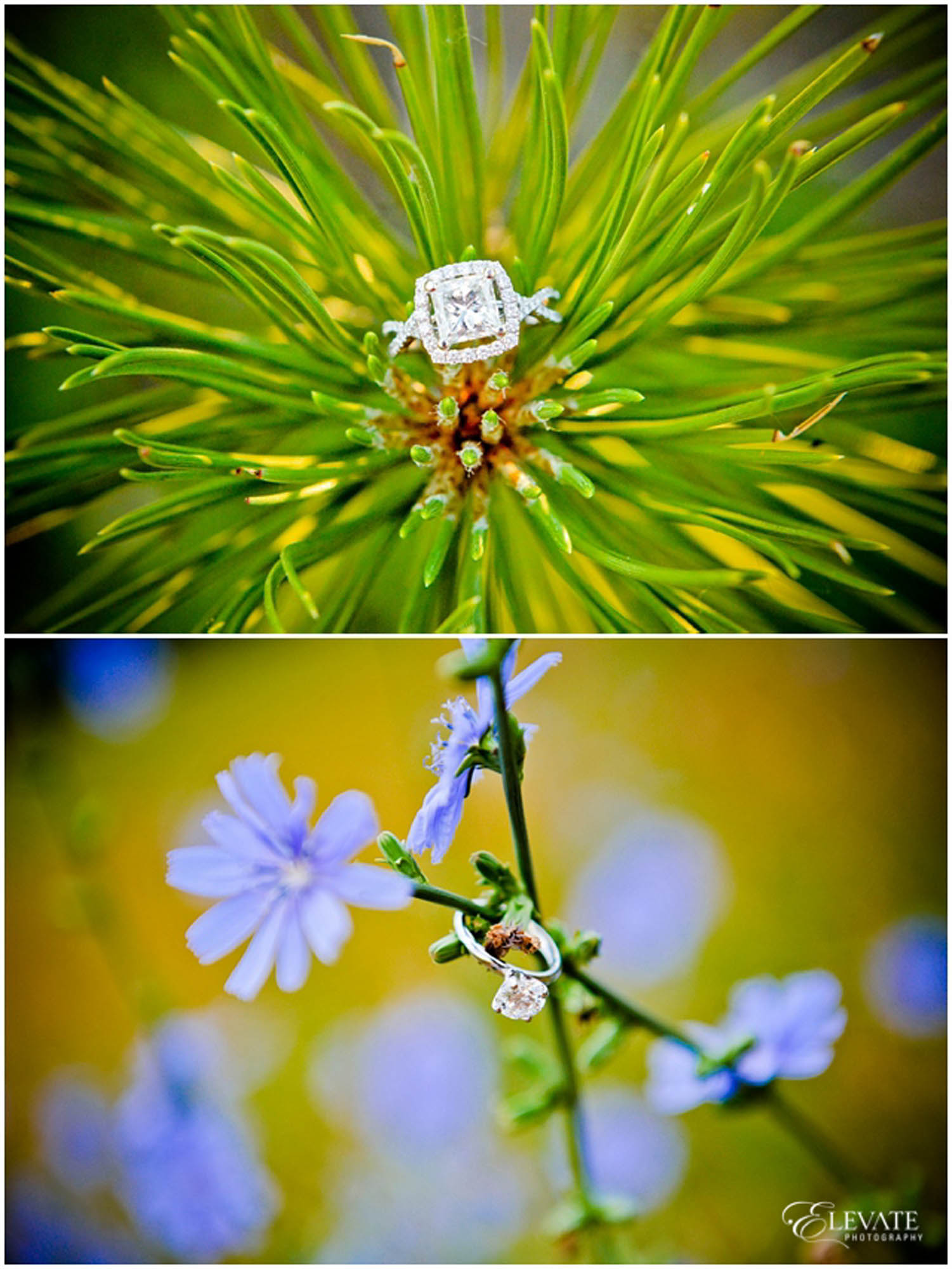 Best Engagement Rings Denver Wedding Photographers Elevate