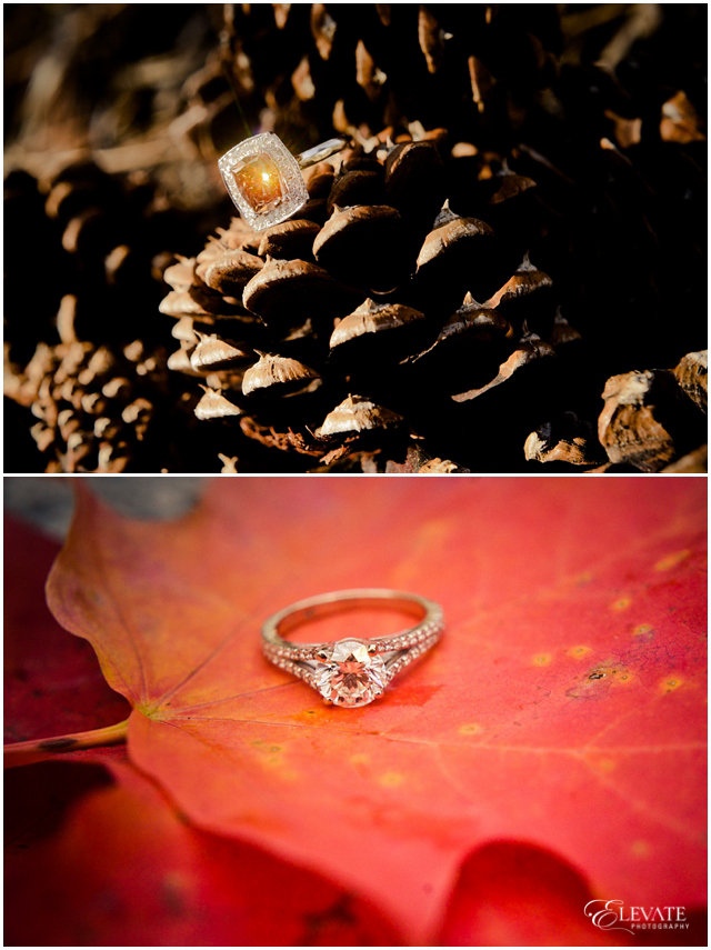 Best Engagement Rings Denver Wedding Photographers Elevate