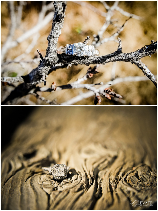 Best Engagement Rings Denver Wedding Photographers Elevate