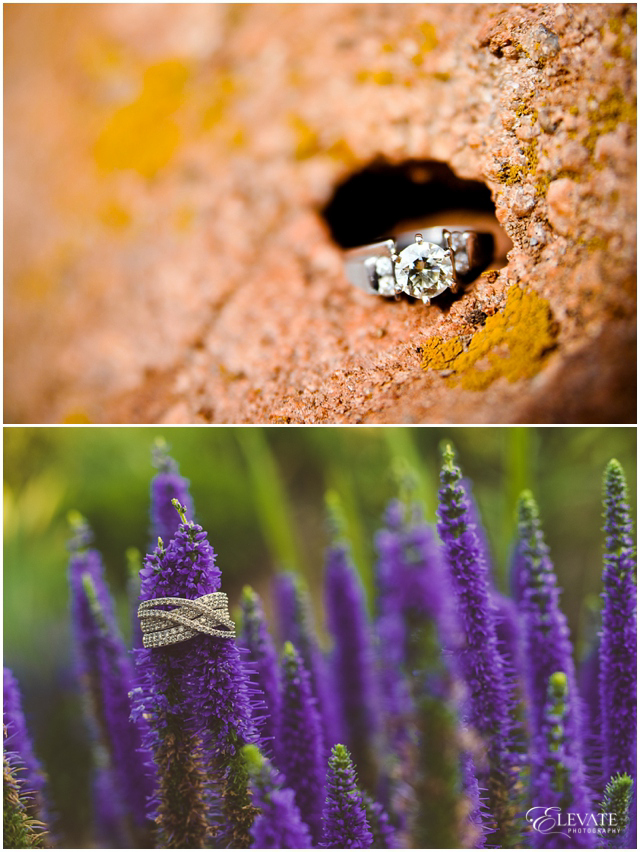 Best Engagement Rings Denver Wedding Photographers Elevate